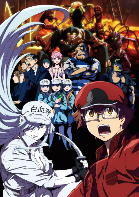 Portada de Hataraku Saibou BLACK