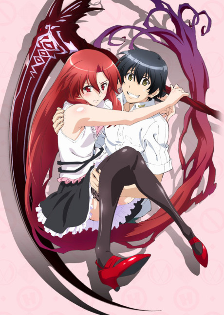Portada de Dakara Boku wa, H ga Dekinai.