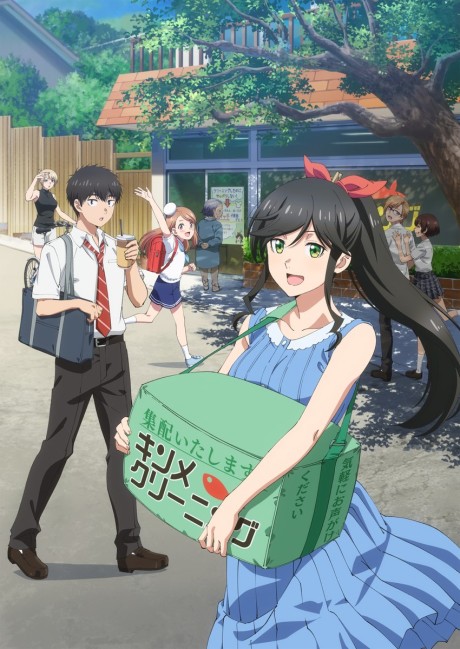 Portada de Kirei ni Shitemoraemasu ka.