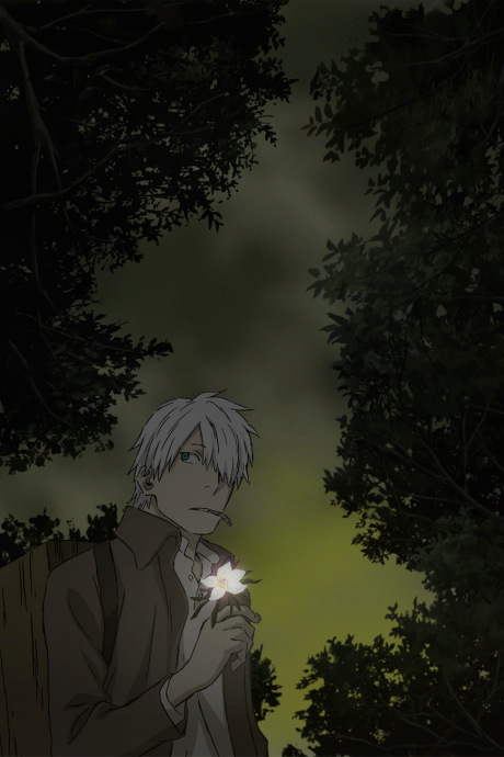 Portada de Mushishi: Hihamukage