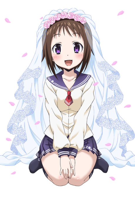 Portada de Okusama ga Seitokaichou!