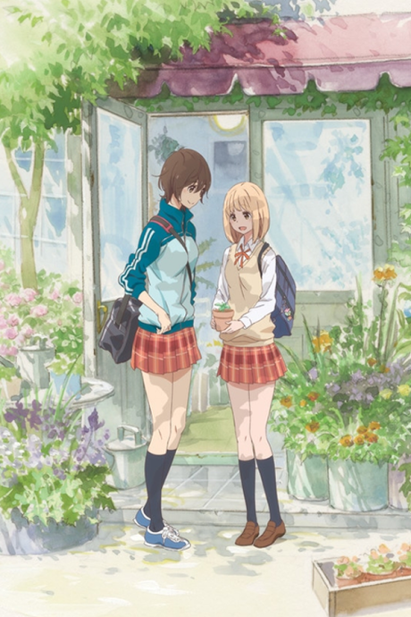 Portada de Asagao to Kase-san.
