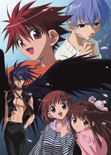 Portada de D.N.Angel
