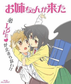 Portada de Onee-chan ga Kita: Hajimete no... Kitaa!