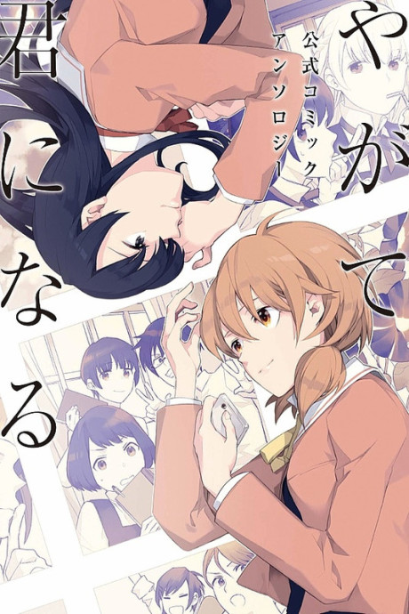 Portada de Yagate Kimi ni Naru Koushiki Comic AnthologyBloom Into You Anthology