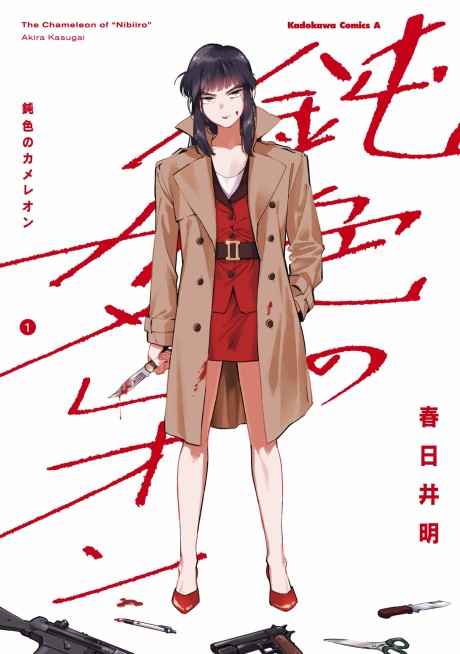 Portada de Nibi iro no Chameleon