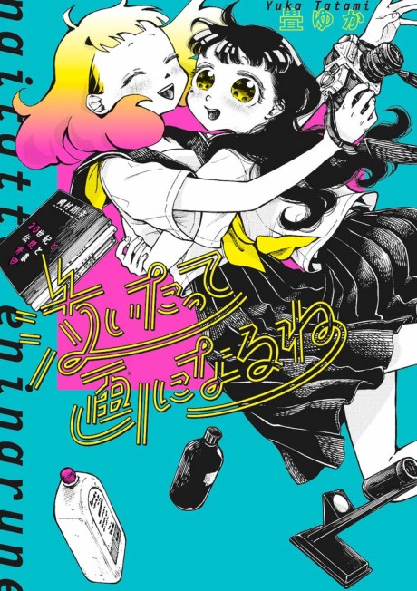 Portada de Naitatte e ni naru ne