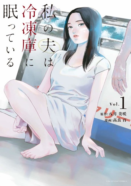 Portada de Watashi no Otto wa Reitouko ni Nemutte Iru