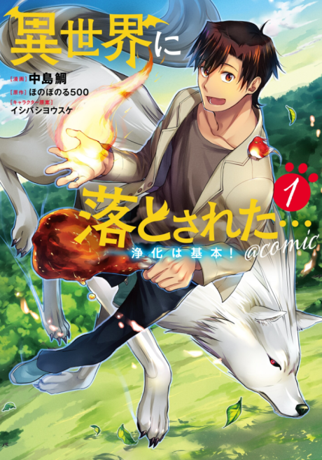 Portada de Isekai ni Otosareta... Jouka wa Kihon!