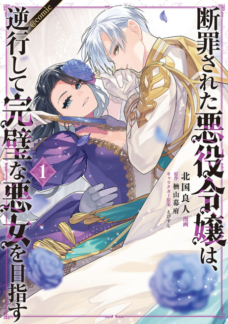 Portada de Danzai sareta Akuyaku Reijou wa, Gyakkou shite Kanpeki na Akujo wo Mezasu