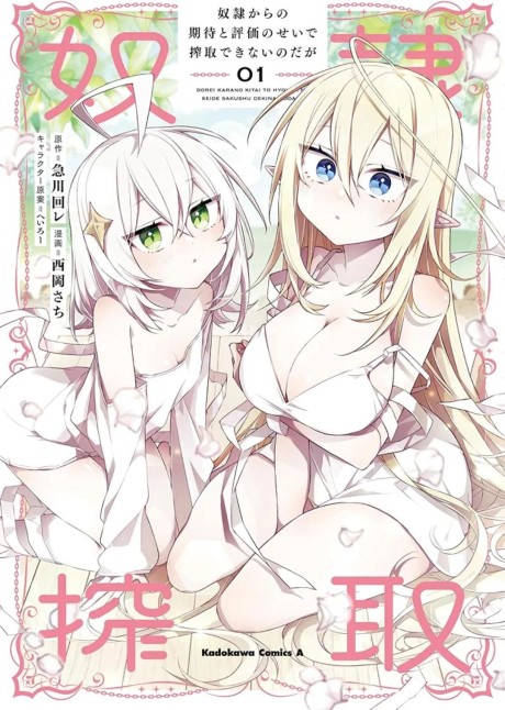 Portada de Dorei kara no Kitai to Hyouka no sei de Sakushu dekinai no daga