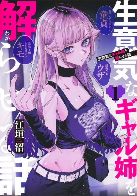 Portada de Namaiki na Gal Ane o Wakaraseru Hanashi