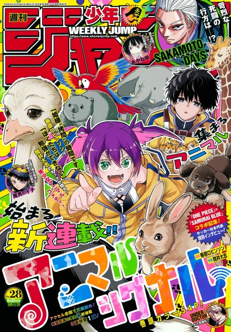 Portada de Animal Signal