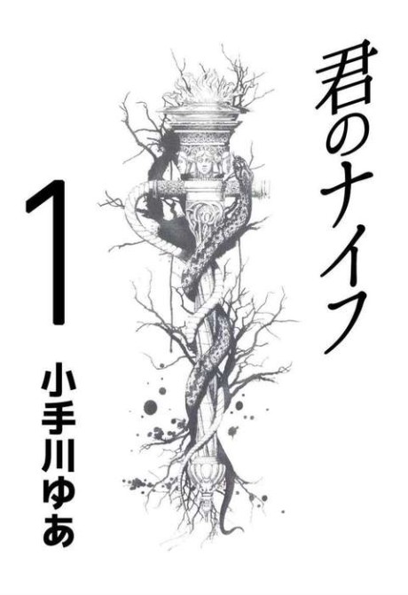 Portada de Kimi no Knife