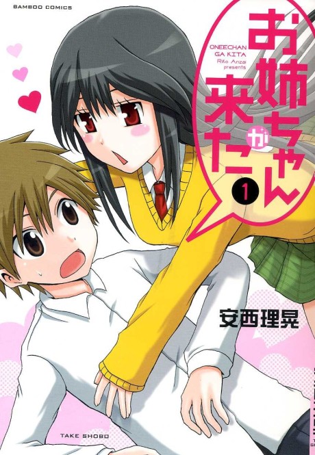 Portada de Onee-chan ga Kita