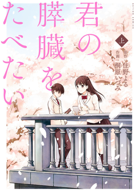 Portada de Kimi no Suizou wo Tabetai
