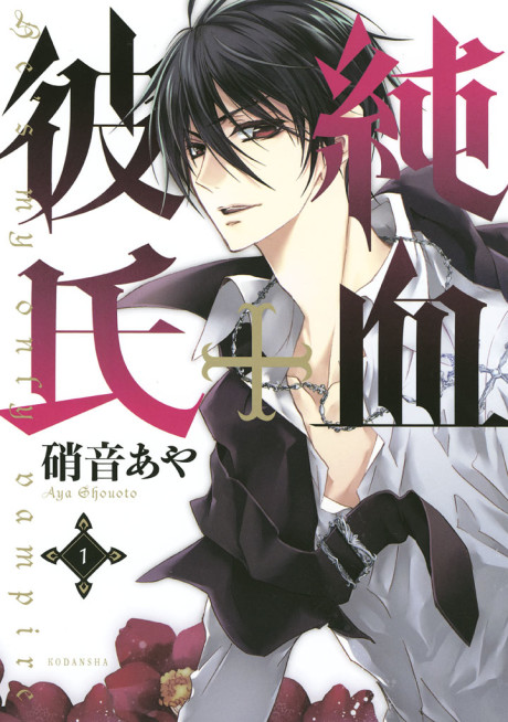 Portada de Junketsu + Kareshi