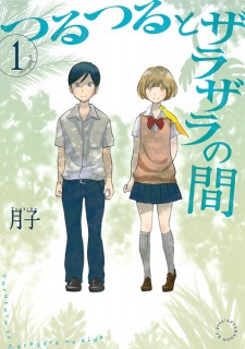 Portada de Tsurutsuru to Zarazara no Aida