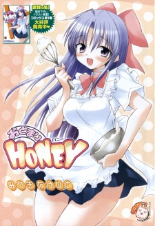 Portada de Otomari Honey